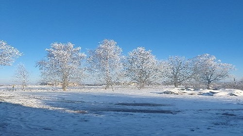 Tamsių kontraktų nutraukimas